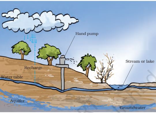 Groundwater and water table